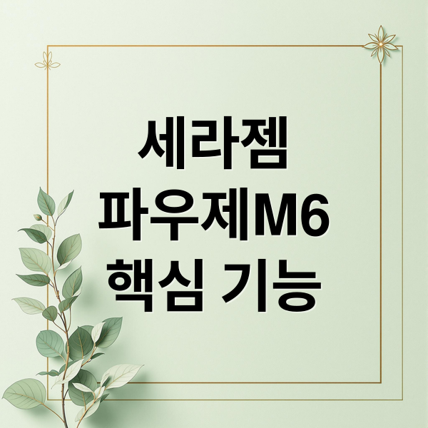 세라젬
파우제M6
핵심 기능 (세라젬 파우제M6 가격 렌탈)