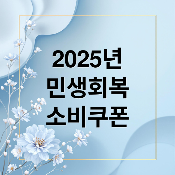 2025년
민생회복
소비쿠폰 (2025년 민생회복 소비쿠폰 온라인 사용)