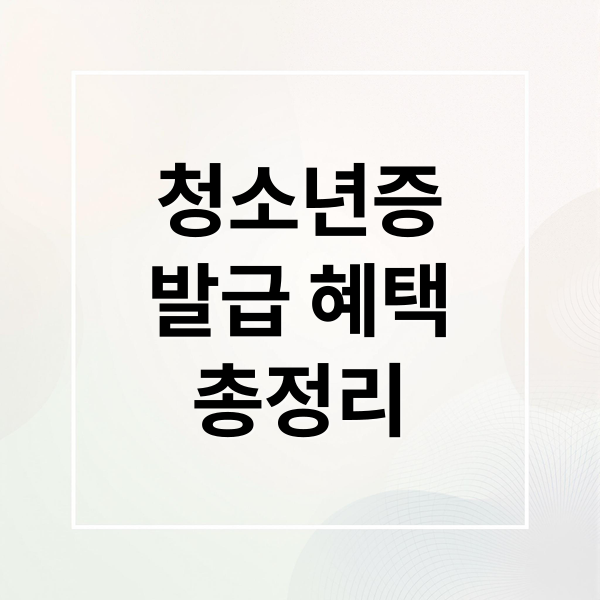 청소년증
발급 혜택
총정리 (청소년증 발급 방법)