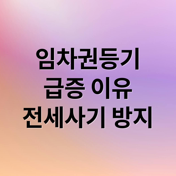 임차권등기
급증 이유
전세사기 방지 (부동산 규제 임차권등기)