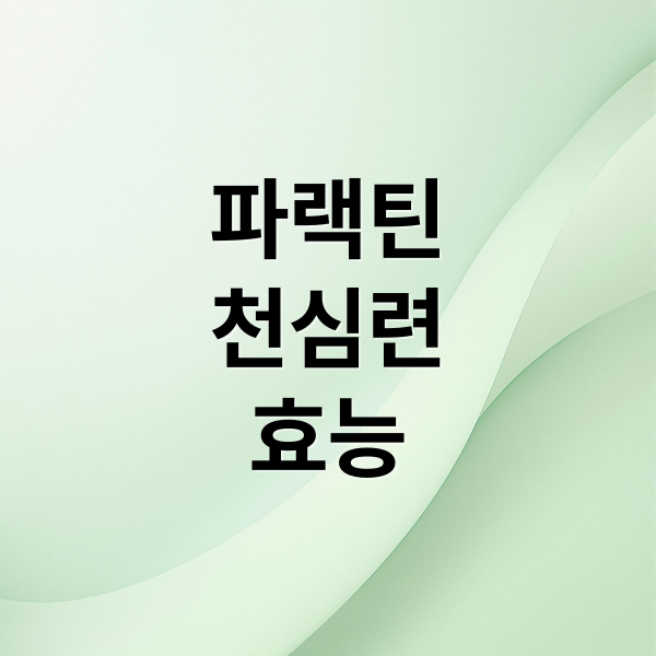파랙틴
천심련
효능 (파랙틴 효능 천심련 부작용)