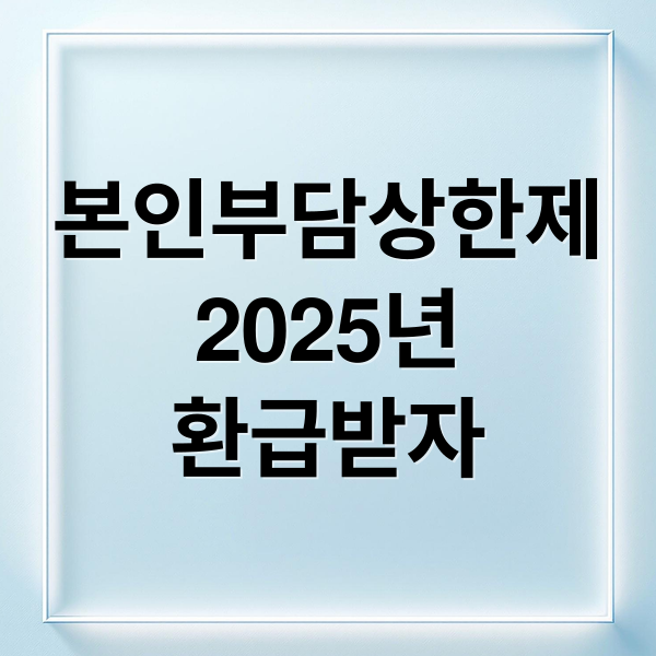 본인부담상한제
2025년
환급받자 (본인부담상한제 환급)