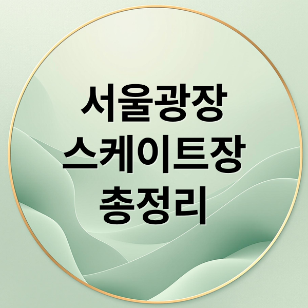 서울광장
스케이트장
총정리 (서울광장 스케이트장)