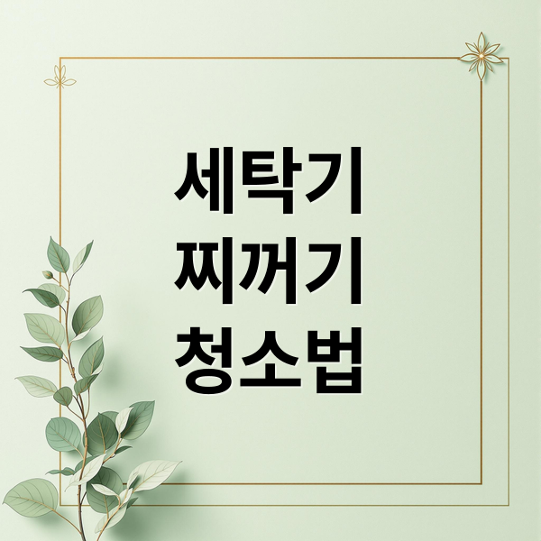 세탁기
찌꺼기
청소법 (세탁기 찌꺼기 제거 방법)