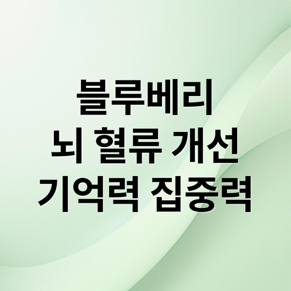 블루베리
뇌 혈류 개선
기억력 집중력 (블루베리 뇌 혈류 개선 효능)