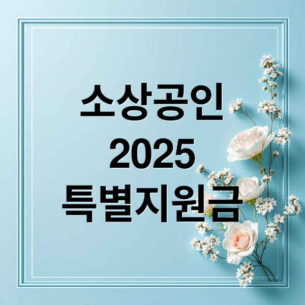 소상공인
2025
특별지원금 (소상공인 특별지원금)