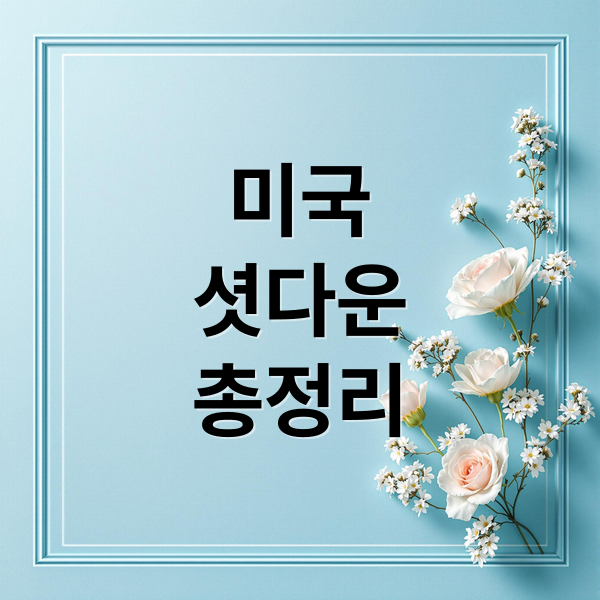 미국
셧다운
총정리 (미국 주식 선물 하락 셧다운 영향)