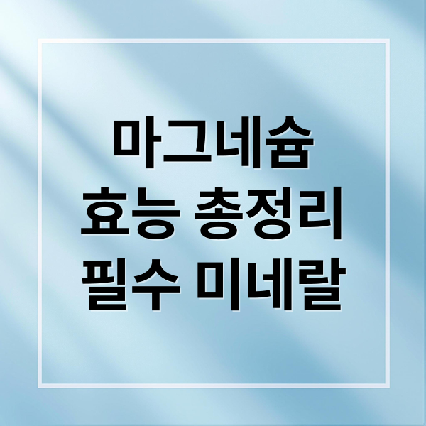 마그네슘
효능 총정리
필수 미네랄 (마그네슘 효능 신경안정 스트레스)