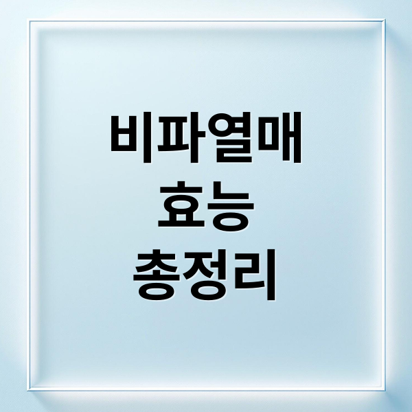 비파열매
효능
총정리 (비파열매 효능 먹는법)