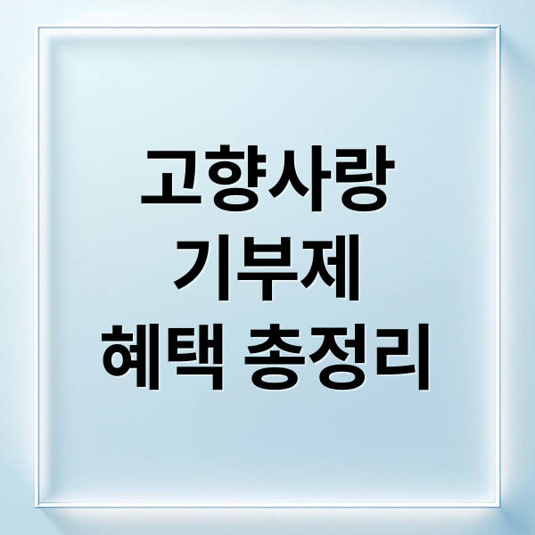 고향사랑
기부제
혜택 총정리 (고향사랑기부제 연말정산 세액공제 이벤트 답례품 13만원지원)