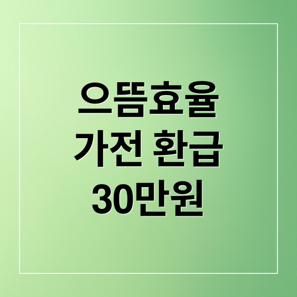 으뜸효율
가전 환급
30만원 (으뜸효율 가전 30만원 환급)