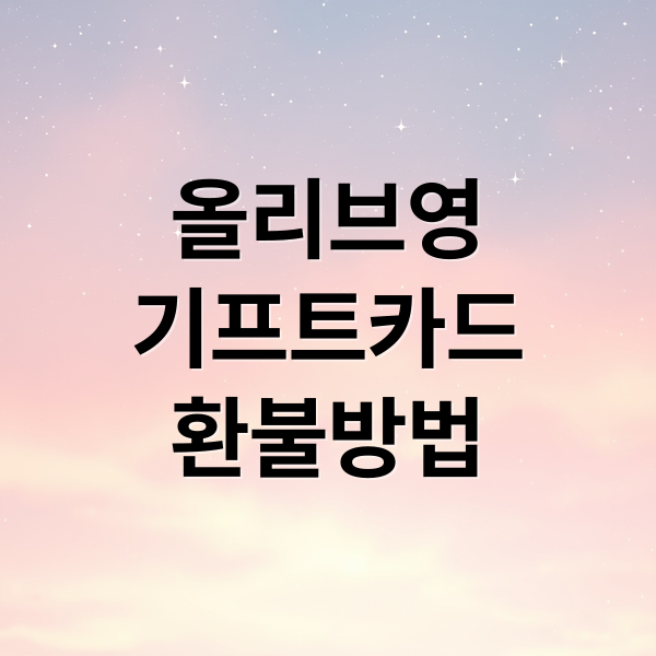 올리브영
기프트카드
환불방법 (올리브영 기프트카드 환불)