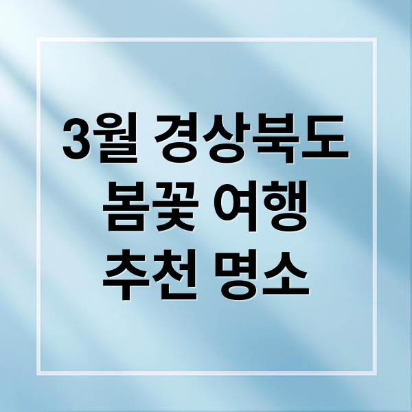 3월 경상북도
봄꽃 여행
추천 명소 (3월 경상북도 추천 여행지)