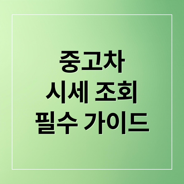 중고차
시세 조회
필수 가이드 (중고차 시세 조회)