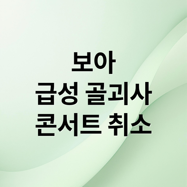 보아 급성 골괴사 콘서트 취소 (보아 25주년 콘서트 취소 급성 골괴사증)