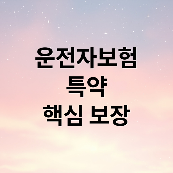 운전자보험
특약
핵심 보장 (운전자보험 특약 추천)