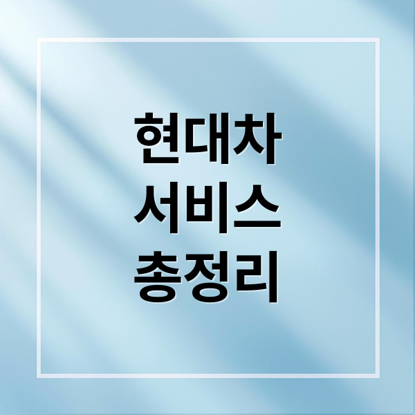 현대차
서비스
총정리 (현대자동차 서비스센터)