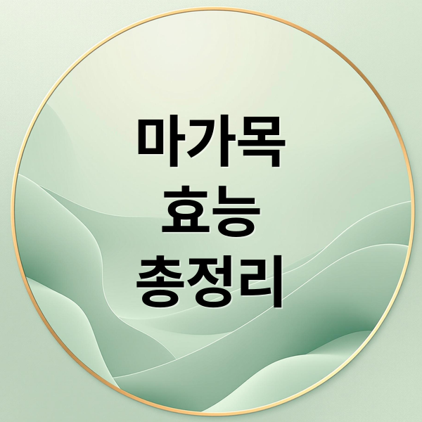 마가목
효능
총정리 (마가목)