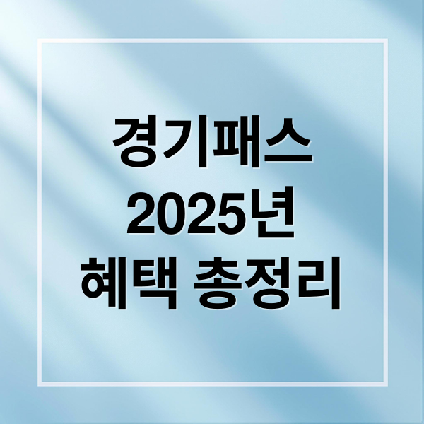 경기패스
2025년
혜택 총정리 (경기패스 교통카드 2025년)