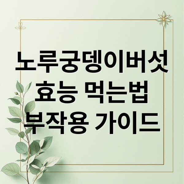 노루궁뎅이버섯
효능 먹는법
부작용 가이드 (노루궁뎅이버섯 효능 부작용)