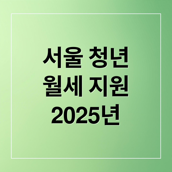 서울 청년
월세 지원
2025년 (청년월세지원)