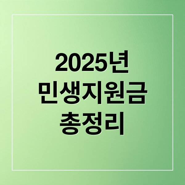 2025년
민생지원금
총정리 (2025 민생지원금 최신정보)