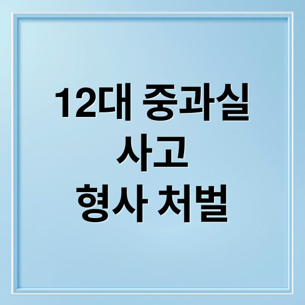 12대 중과실
사고
형사 처벌 (12대 중과실 사고 형사처벌)