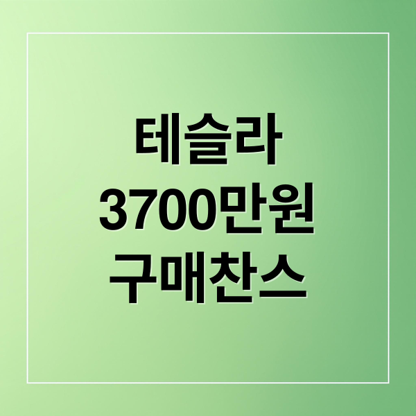 테슬라
3700만원
구매찬스 (테슬라 모델 3 Y 3700만원)