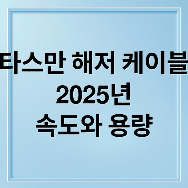 타스만 해저 케이블
2025년
속도와 용량 (2025 타스만 가격)