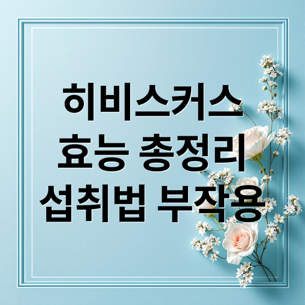 히비스커스
효능 총정리
섭취법 부작용 (히비스커스 효능 부작용)