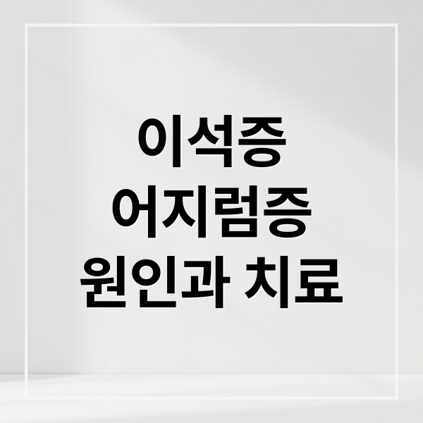 이석증
어지럼증
원인과 치료 (이석증 증상 치료 예방 어지러움증)