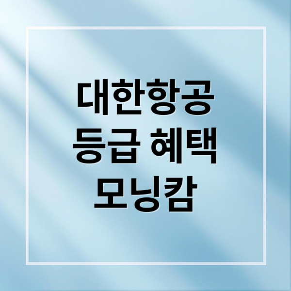 대한항공
등급 혜택
모닝캄 (대한항공 예약 등급 혜택 확인방법)