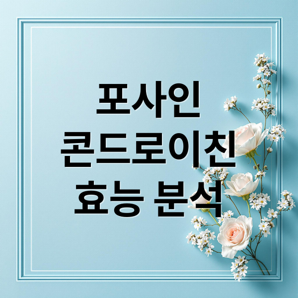 포사인
콘드로이친
효능 분석 (포사인 콘드로이친 가격 효능)