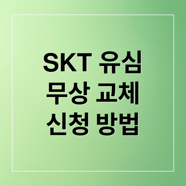 SKT 유심
무상 교체
신청 방법 (SK텔레콤 유심 무상 교체)
