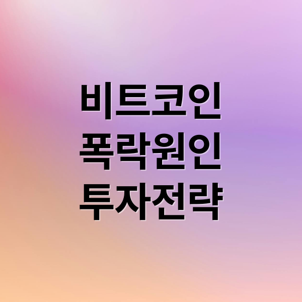 비트코인
폭락원인
투자전략 (비트코인 폭락)