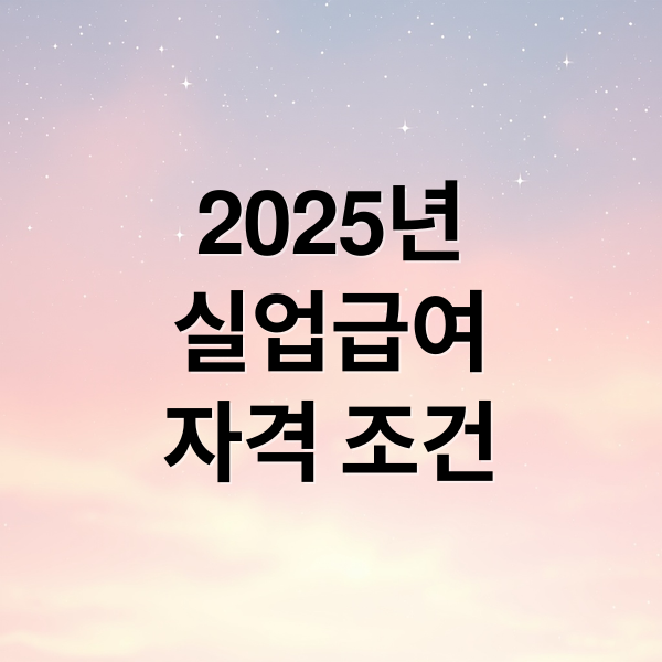 2025년
실업급여
자격 조건 (실업급여 신청 자격 요건)