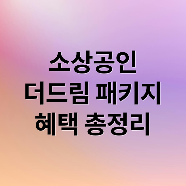 소상공인
더드림 패키지
혜택 총정리 (소상공인 더드림)