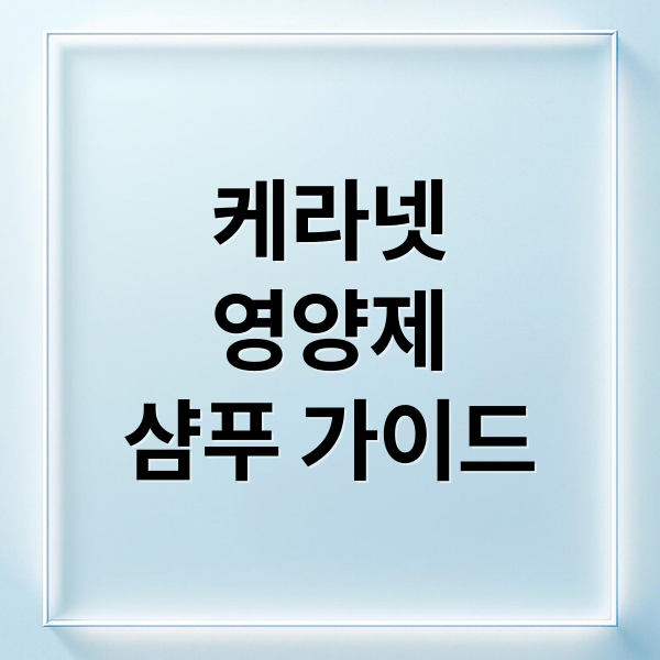 케라넷
영양제
샴푸 가이드 (케라넷 효능 부작용)