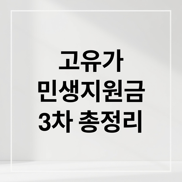 고유가
민생지원금
3차 총정리 (고유가 민생지원금)