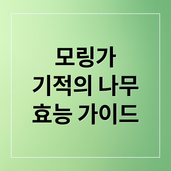 모링가
기적의 나무
효능 가이드 (모링가 효능 부작용)