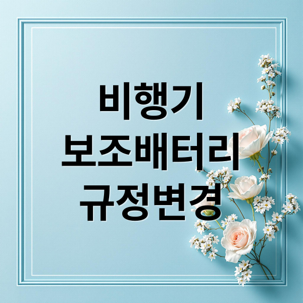 비행기
보조배터리
규정변경 (비행기 보조배터리 반입 규정 26년 1월 변경)