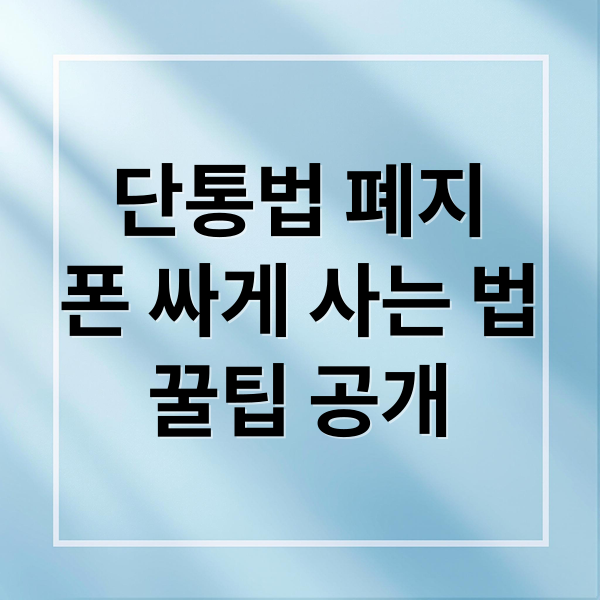 단통법 폐지
폰 싸게 사는 법
꿀팁 공개 (단통법 폐지 휴대폰 싸게 사는법)