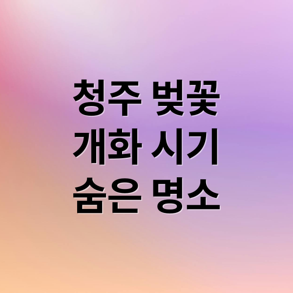 청주 벚꽃
개화 시기
숨은 명소 (청주 벚꽃 명소)