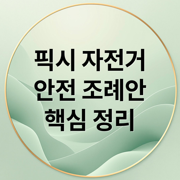 픽시 자전거
안전 조례안
핵심 정리 (픽시 자전거 안전 조례안)