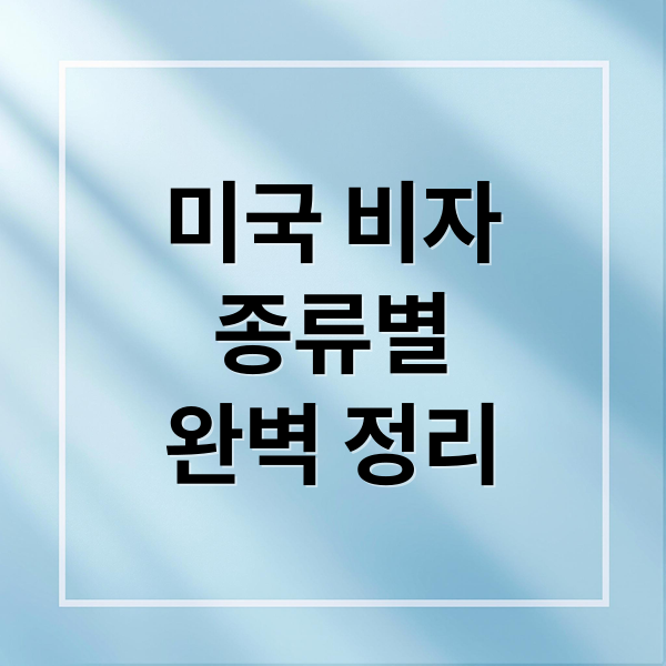 미국 비자종류별완벽 정리 (미국 관광비자 신청서류)