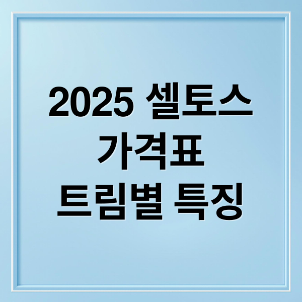 2025 셀토스
가격표
트림별 특징 (2025 셀토스 가격표)