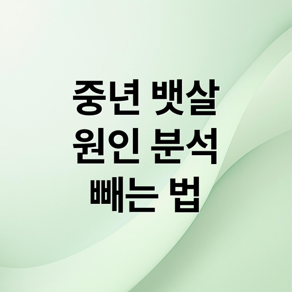 중년 뱃살
원인 분석
빼는 법 (뱃살 빼는 방법)