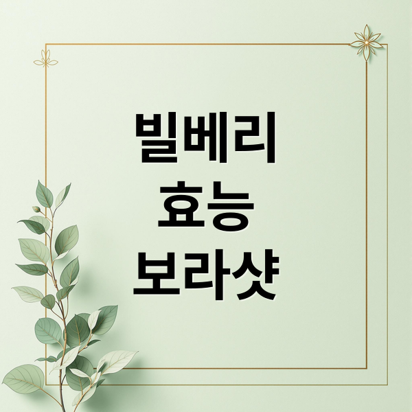 빌베리 효능 보라샷