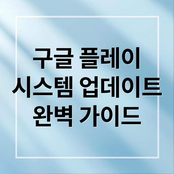 구글 플레이
시스템 업데이트
완벽 가이드 (구글 플레이 시스템 업데이트)