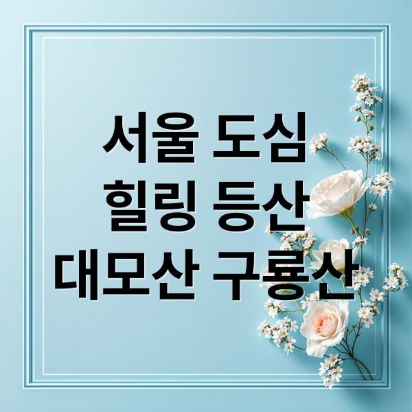 서울 도심
힐링 등산
대모산 구룡산 (대모산 구룡산 등산)